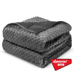 Weighted Blanket for Adults Queen Size 15 lbs