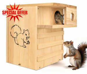 Large Squirrel House for Outside