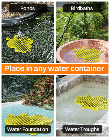 Bee Pontoon 1 Pc - Bee Watering Station, Butterfly Watering Station, Garden Decor - Turtle