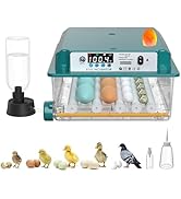 CoInceptus 16 Eggs Incubators for Hatching Eggs, Egg Incubator with Automatic Egg Turning and Tem...
