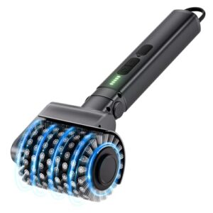 Electric Grill Cleaner with 2 Heads
