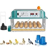 CoInceptus 35 Eggs Incubators for Hatching Eggs,Egg Incubator with Automatic Egg Turning and Humi...