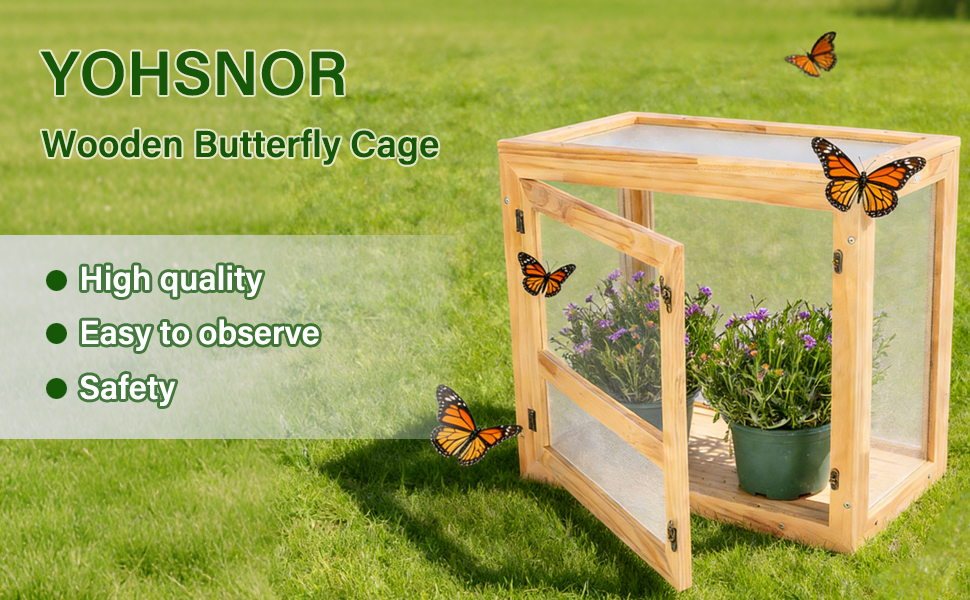 butterfly cage