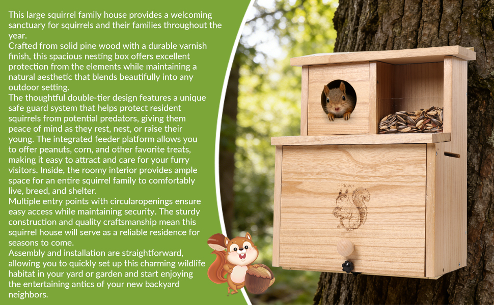 squirrel house V3 a+1