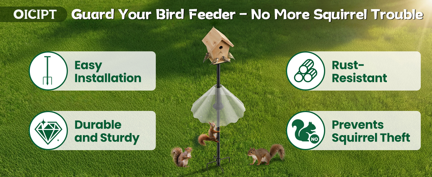 bird feeder pole