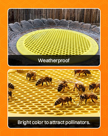 Bee Pontoon