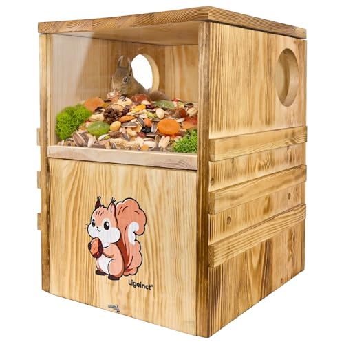 Durable Squirrel Box for Backyard