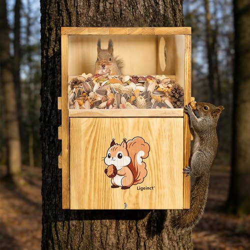 Ideal Squirrel Houses for Outside and Chipmunk House