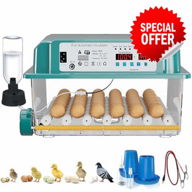 36 Eggs Incubators for Hatching Eggs