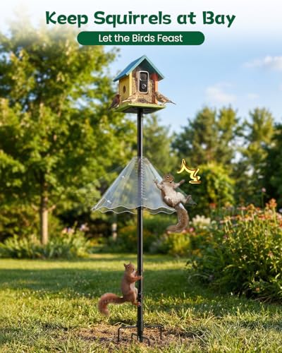 Squirrel Proof Bird House Pole for Outdoor