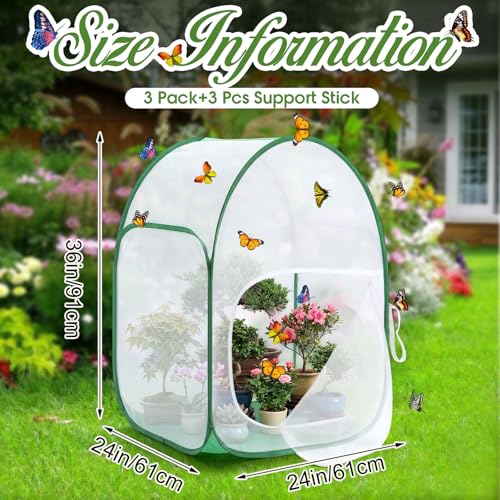 Transparent Window Panel