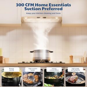300 Max Blower CFM