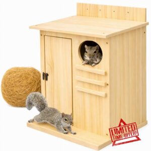 Large Squirrel House for Outside