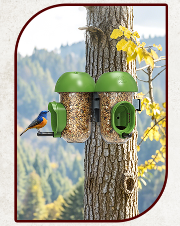 LONA Squirrel Proof Bird Feeding Cage for Outdoor All-Weather Metal Caged Bird Feeder with Peanut...