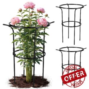 3 Pack Large Peony Cages and Supports