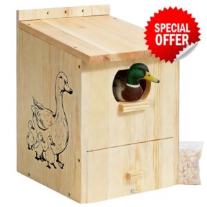 Wood Duck House