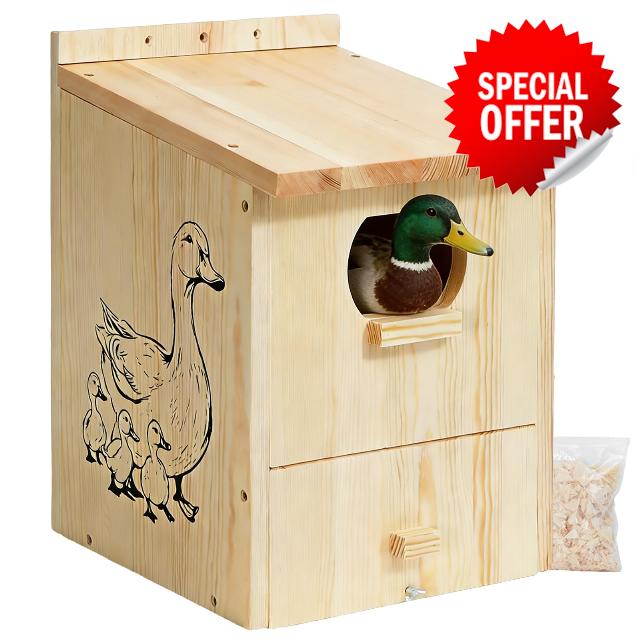 Wood Duck House