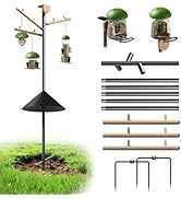 LONA Smart Bird Feeder with Camera - 2.5K Dual Lens, Solar Powered, Upgraded Dual Food Inlet, Lif...