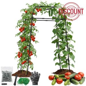 Garden Arch Trellis for Climbing Plants