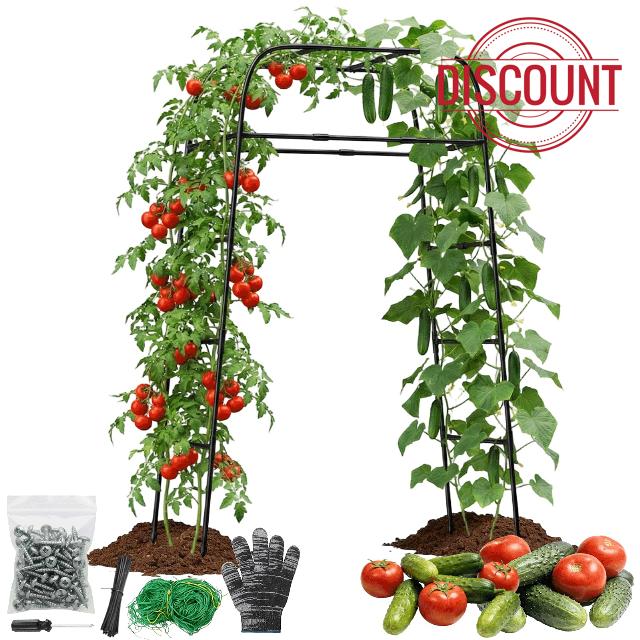 Garden Arch Trellis for Climbing Plants