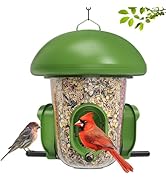 Bired feeder