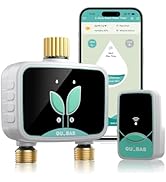 Water Timer, 31R