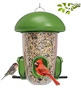 LONA Bird Feeders for Outdoors Hanging – 3 Separate Compartments, 3 Feeding Ports, Weatherproof D...