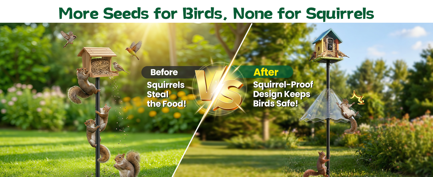 bird feeder stand