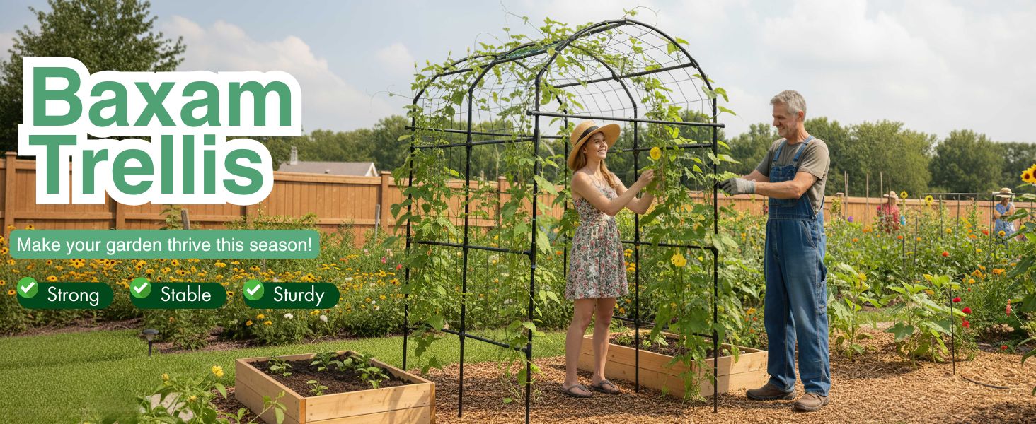trellis for climbing plants outdoor arch
