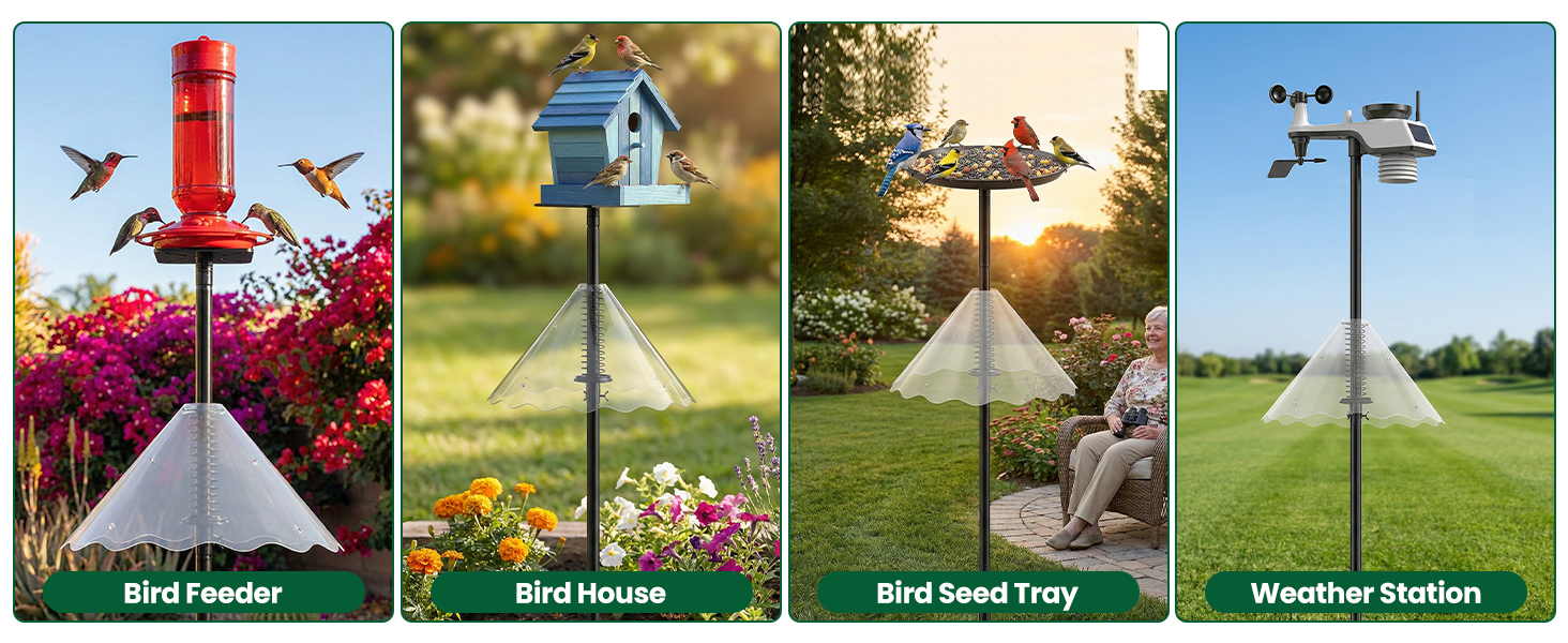bird feeder stand