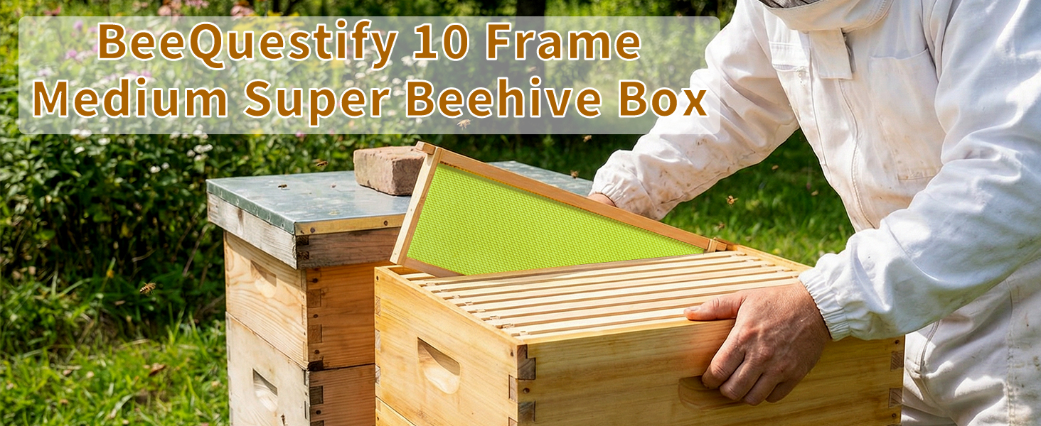 medium super bee hive
