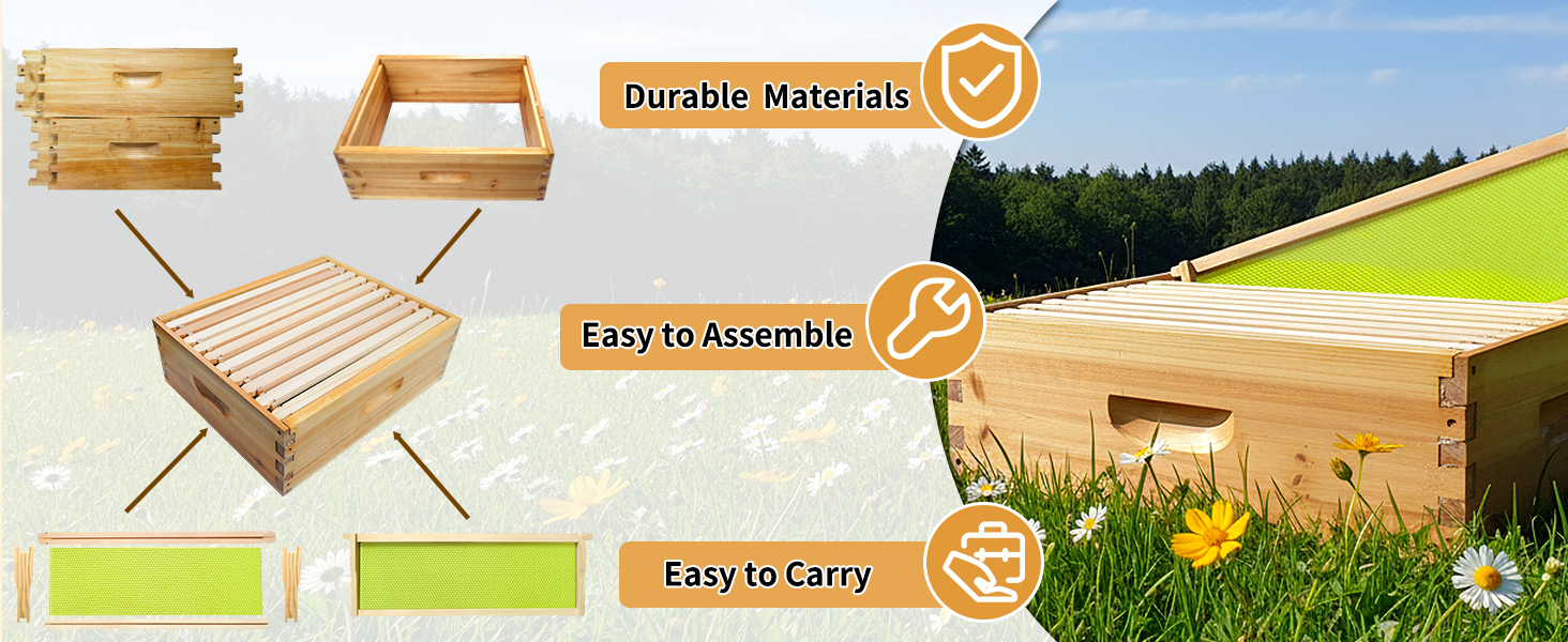 bee hive box
