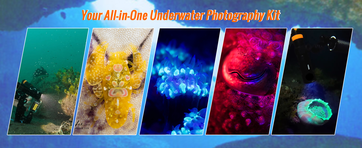orcatorch-d710v-mk2-all-in-one-underwater-photography-kit