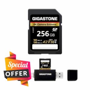 【5-Years Data Recovery】 GIGASTONE 256GB SD Card with USB Type C Card Reader