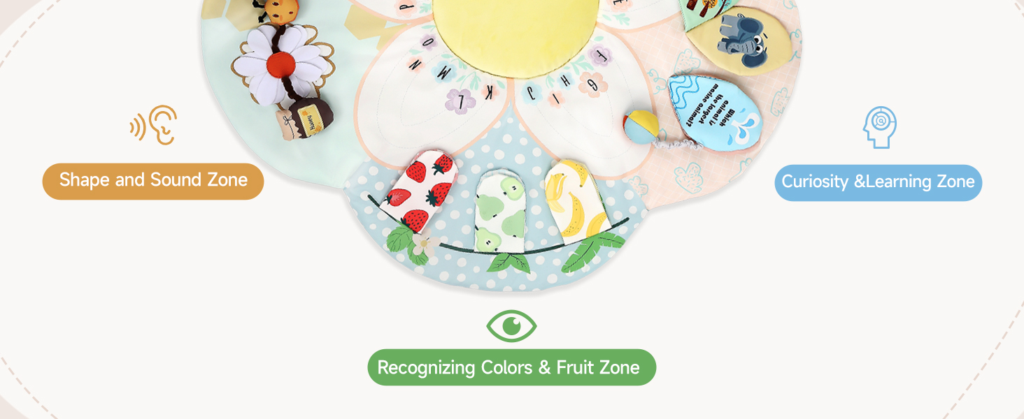 Baby Play Gym & Activity Mat