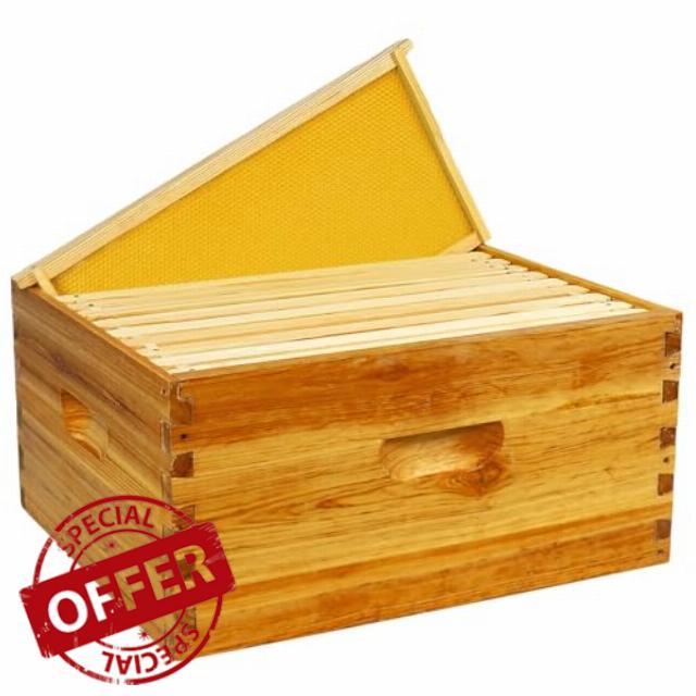 10 Frame Deep Brood Box Langstroth Bee Hive Box Dipped in Beeswax
