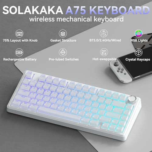 BT5.0/2.4GHz/USB-C