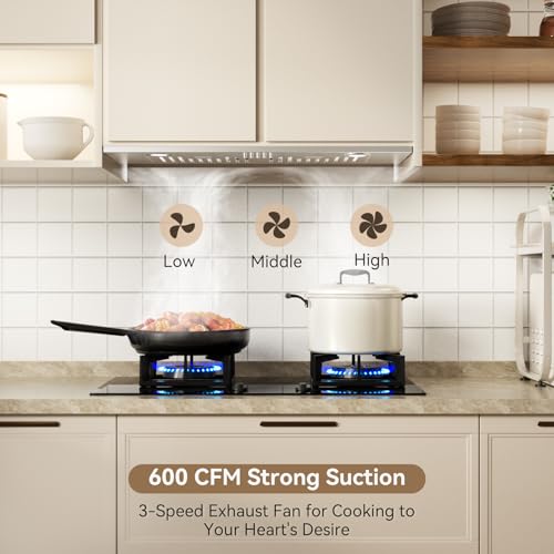 600 CFM 3 Speed Vent Hood