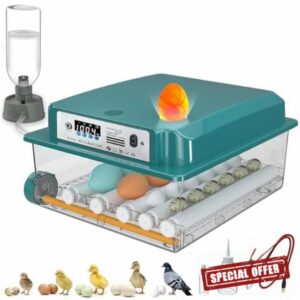 CoInceptus 16 Eggs Incubators for Hatching Eggs