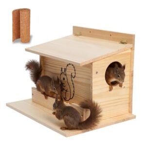 Squirrel Box