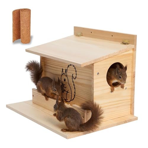 Squirrel Box