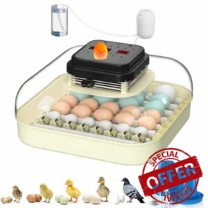 CoInceptus 35 Eggs Incubators for Hatching Eggs