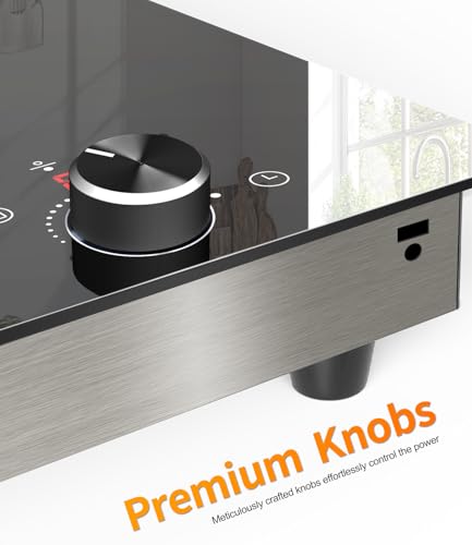 110V-120V Bulit-in & Countertop Ceramic Radiant Stove with Timer