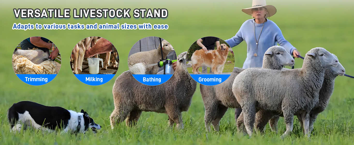 Goat Stand