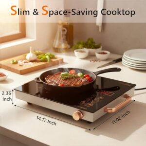 1800W One Burner Ceramic Cooktop with Handle