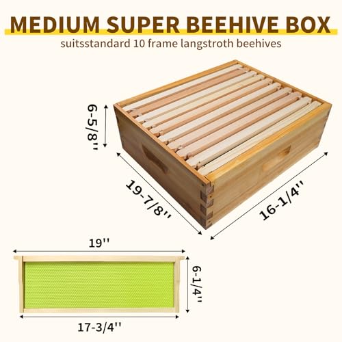 Bee Box Sections of Wood for Beehives Include Beehive Frames and Green Wax Foundations (Unassembled)