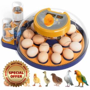 18 Egg Incubator for Hatching Eggs