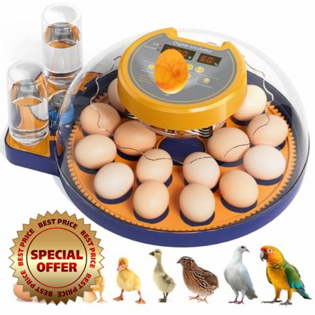 18 Egg Incubator for Hatching Eggs