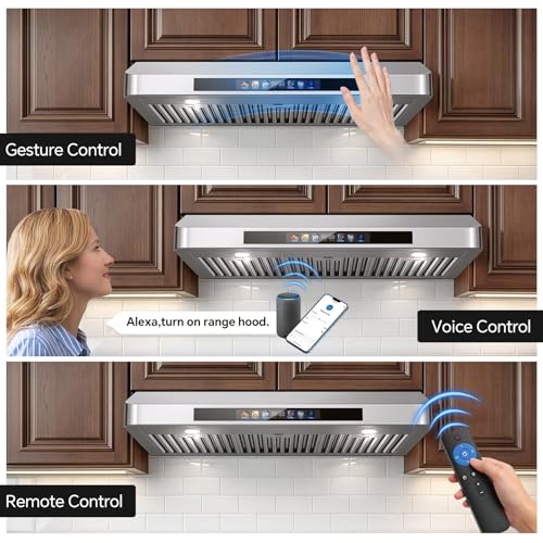 Smart WiFi Voice/Gesture/Remote/Touch Controls