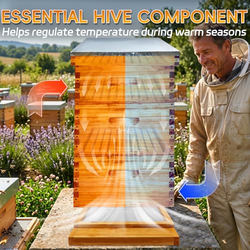 Screened Bottom Board 10 Frame for Langstroth Beehive Summer Airflow